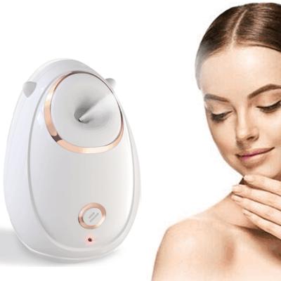 China Nourishing Hot Water 85ml Personal Care Whole Equipment Beauty Sale Mini Facial Nano Steamer for sale