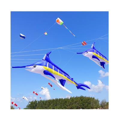China Manufacturer Wholesale Handmade Painting Exhibition Kite Nylon Large for sale