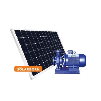 China Chinese Irrigation Solarborn Manufacturer Solar Pool Irrigation Pump For Solar Panel for sale