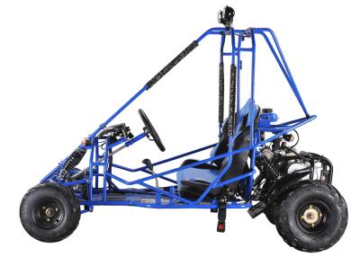 China 2 Seater Kids Mini Go Kart for sale