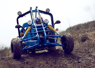 China 12V Blue Motorized CVT Go Kart 150cc Electic Start For Farm for sale