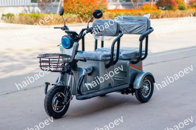 Chine D18 500W Tricycle électrique de loisirs à vendre