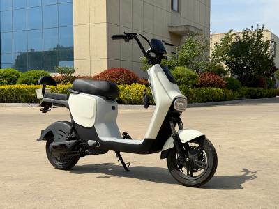 Chine L1-D 350W Véhicule électrique à deux roues à vendre
