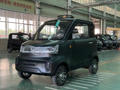 Chine KP-EEC 3000W Véhicule électrique à quatre roues grand espace à vendre
