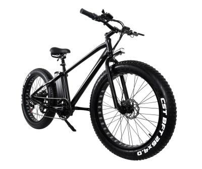 China 500W 750W Fat Tyre Electric Sport Bike With Double Disc Brake LCD Display High Power for sale