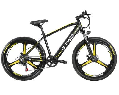 Cina 250 Watt 26