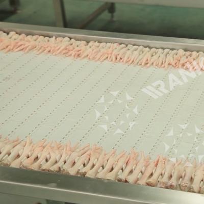 China Customized Slaughtering Line Qingdao Raniche Chicken Feet Peeling Machine For Chicken Slaughterhouse for sale
