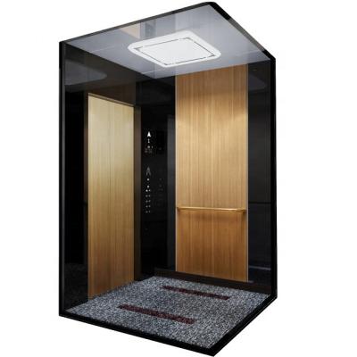 China Traditional Jfuji Good Stable Running Small Home Elevator Elevator Cheap Price 4 Person for sale