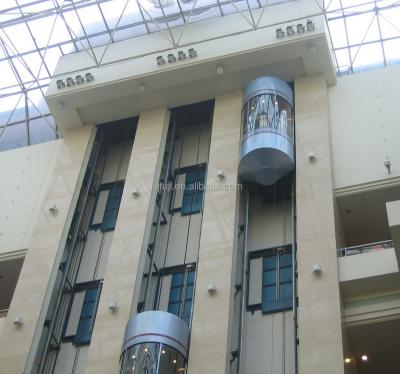 China Panoramic elevators/hot selling glass elevator hotel passenger elevator shopping mall/mall hotel elevator good quality for sale