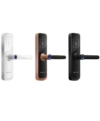 China (Fingerprint+ password+RFID card) â ¤ Smart 300 Biometric Fingerprint Wifi Electronic Door Lock With Single Or Double Bolt for sale