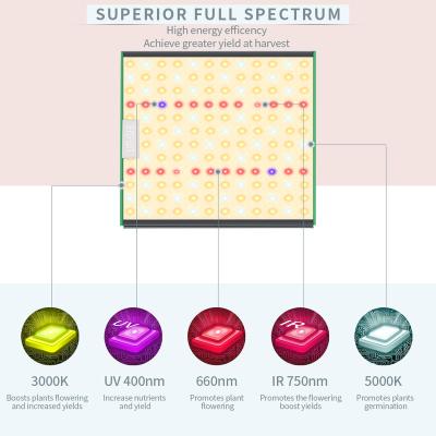 China Dimable Full Spectrum Vertical Grow Light Bars 1000w 500w Double Ended To Grow Light Bulbs Samsung lm281b for sale