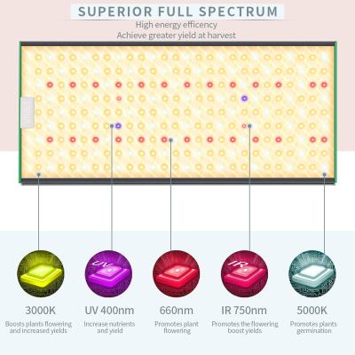 China Dimmable Shenzhen led grow light for indoor 1000w greenhous 500w factory using Samsung lm281b dimmable for sale