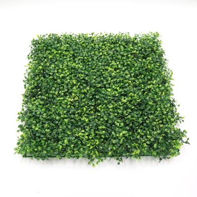 China Home Garden Office Wedding Decoration Decorative PE Artificial Boxwood Hedge Green Wall Panel Artificial Plant Hedge Boxwood Fence Green Leaf For Indoor Decoration for sale