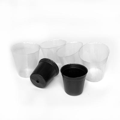 China Wholesale plastic soft flower seeding pot plant mango nursery en venta