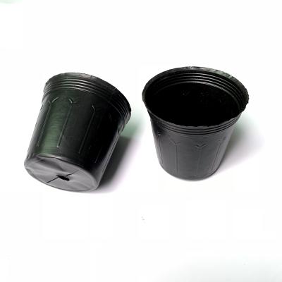 Chine PE black nursery pot blow pots flower pot à vendre
