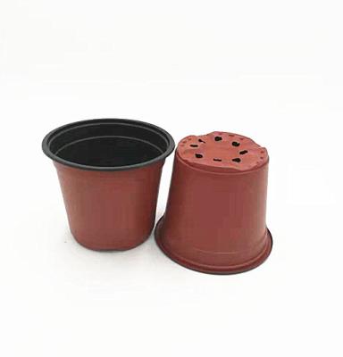 Chine Pot de fleurs jetable à double couleur pour serre et jardin à vendre
