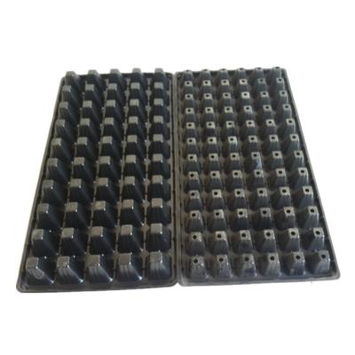 Cina Seme rettangolare del polistirolo di 105 fori che alza Tray Deep Cell Plug Trays 540X280mm in vendita