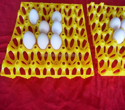 Cina eggs colorful yellow plastic blister thermoforming vacuum plates in vendita
