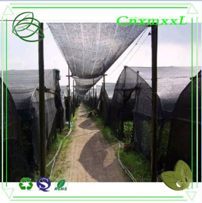 China high quality PP woven sun shade net house farming in low price à venda