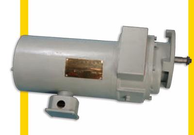 China SPERI Take-up block Variable frequency motor Coupling for cleanout conveyor Motor for cleanout conveyor Gear for coal valve Coal valve for sale