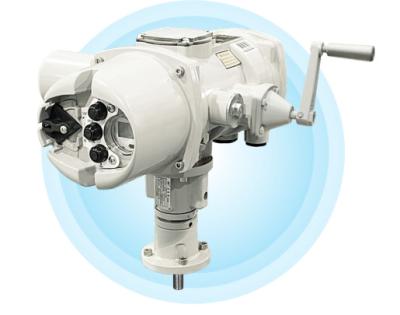 China YOKOGAWA M-series straight motor operated valveM8310 M8510 M8610 L8210 M8320 M8520 M8620 L8220 L8230 M8330 M8530 M8630 L8240 M8340M8540 M8640 L8250 M8350 M8550 M8650 L8250 L8210 L8220 L8230 L8240L8250 for sale