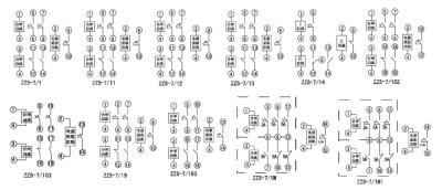 China XINCHANGJIANG XINJI ZZS-7 series comprehensive control device ZZS-7/211 ZZS-7/212ZZS-7/213 ZZS-7/221 ZZS-7/222 ZZS-7/223 ZZS-7/231 ZZS-7/232 ZZS-7/233 ZZS-7/311 ZZS-7/312 ZZS-7/313 ZZS-7/321 ZZS-7/322 for sale