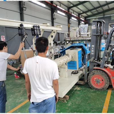 Chine 2023 newest type pet dog cat fish food extruder production line à vendre