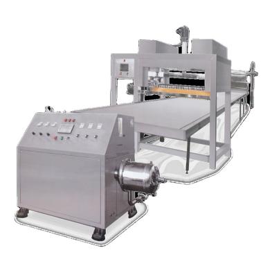 China Automatic snack factory EXM500 marshmallow candy extruder machine for sale for sale