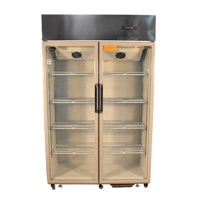 China Single-Temperature Ventilation Glass Door Large Capacity Display Beverage Freezer for sale