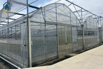 China Multi Span Greenhouse System for Tomatoes and Peppers – Maximize Crop Yield for sale