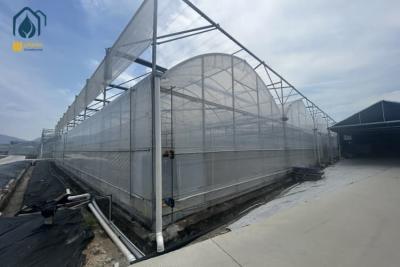 China Multi Span Greenhouse Solar Energy Systems For Sustainable Ecofriendly Farming for sale