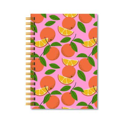 China Custom Printed Financial Budget Planner A5 B5 A4 Spiral Binding Hardcover Stationary Agenda Diary Office Printing Organizer for sale