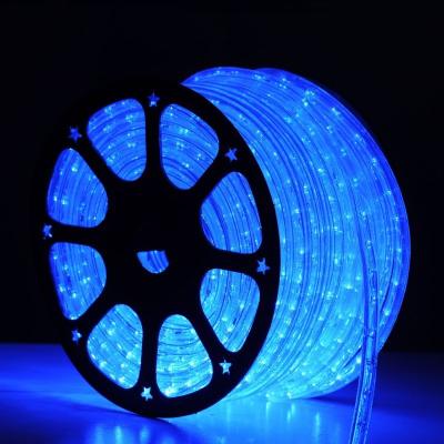 China 36 led per meter strips 2 wire rope flex light Party decoration for sale