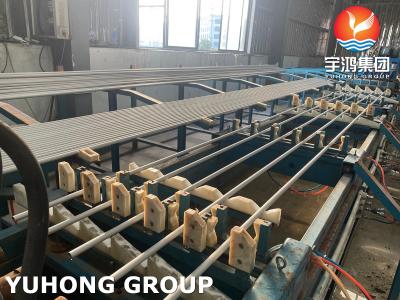 China ASTM A213 TP304 /TP304L/TP316/TP316L/TP321 Stainless Steel Seamless Tubes Pickeld And Annealed Petrochemical Industry for sale