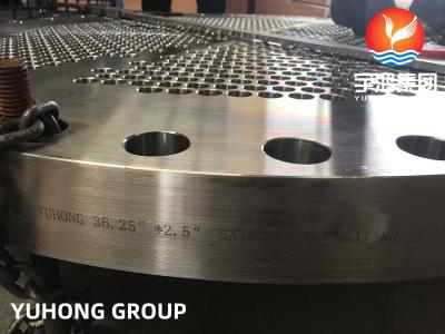중국 ASME SA182 F316L, 1.4404 열 교환기용 스테인레스 스틸 도장 파이프 시트 판매용