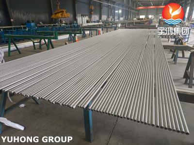 China Tubo sin costuras de acero inoxidable ASTM A269 TP304 ASME SA269 TP304L encurtido y recocido en venta