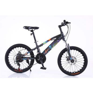China Mountain Bike 20inch 21 Speed Mountain Bike Steel Cycle Mountain Bike With Special Wheel for sale