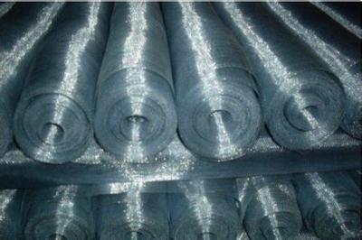 China Plain Steel Galvanized Square Wire Mesh Window Screen Mesh Corrosion Resistance for sale