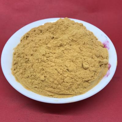 Chine Coagulant ferrique polymère de polymère du sulfate PFS de Cas No 10028-22-5 pour le traitement de l'eau à vendre