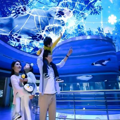 China Aanpasbaar Magic Sky Screen Hologram Canopy Projection Interactieve projector Te koop