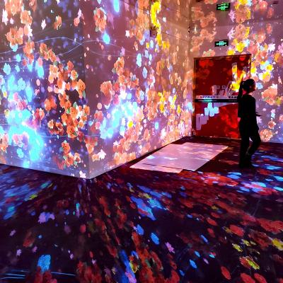 China Yoga Studio Wandprojektion Bodenprojektion Interaktive virtuelle Realität Museum Show zu verkaufen