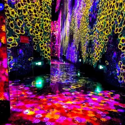 China Interaktive Erfahrung mit bloßem Auge virtuelle 3D Indoor Immersive Ausstellung zu verkaufen