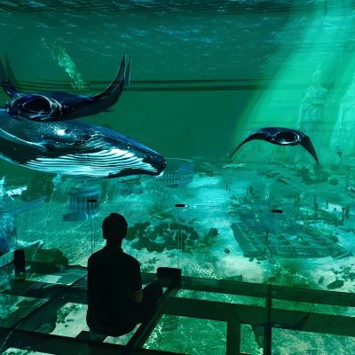 China Factory Custom Indoor Led 5 Fold Screen Immersive 3d Holographic Theater Viewing for sale