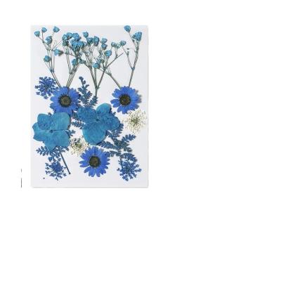 China Festival 12pcs Mixed Flower Set DIY Photo Frame Soap Phone Cases Phone Case Embossing Glue Relief Plant Dry Handmade Natural Wholesale for sale