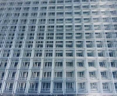 China Galvanized welded wire mesh for sale