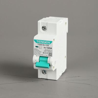 China TENGEN Customized Miniature Rail Mount 2 Pole 3 Pole 10a 32a Circuit Breaker 6kA for sale