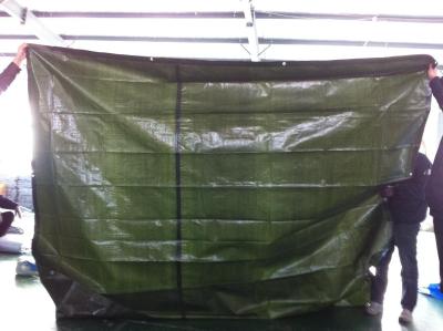 China green color 160gsm HDPE woven fabric waterproof PE tarpaulin for sale