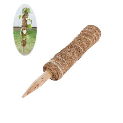 China Durable Garden Accessories 12 Inches Natural Fiber Moss Sticks Coconut Totem Poles Coir For Plant Support for sale