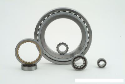 Chine Précision cylindrique de roulement à rouleaux de rangée du double NN3026MBKRCC1P5 haute pour des axes à vendre