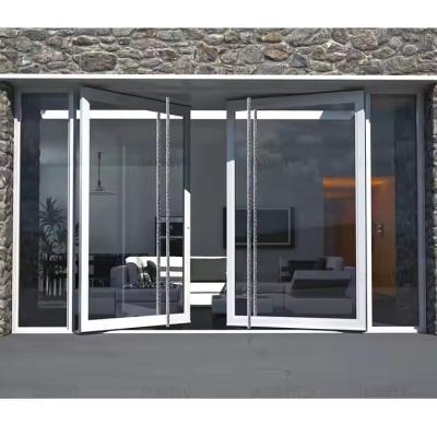 China 4-12mm Double Glazing Aluminum Pivot Door with Clear Glass and Stainless Steel Screen Netting Material for sale